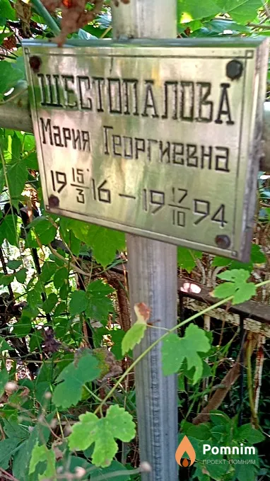 Шестопалова Мария Георгиевна