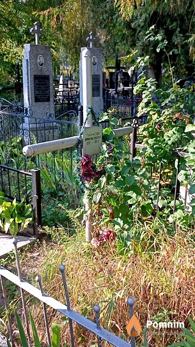 Панасюк Ирина Васильевна