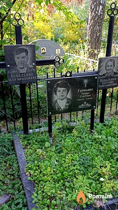 Коваленко Иллья Николаевич