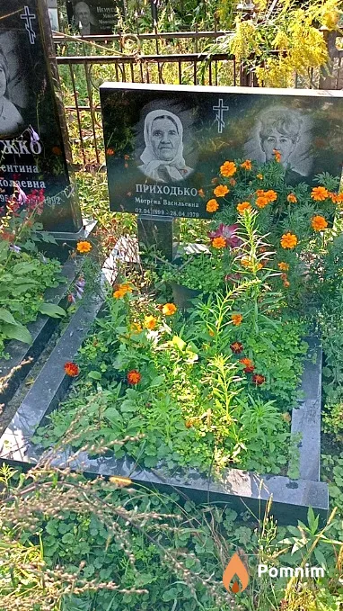 Шурапова Тамара Николаевна