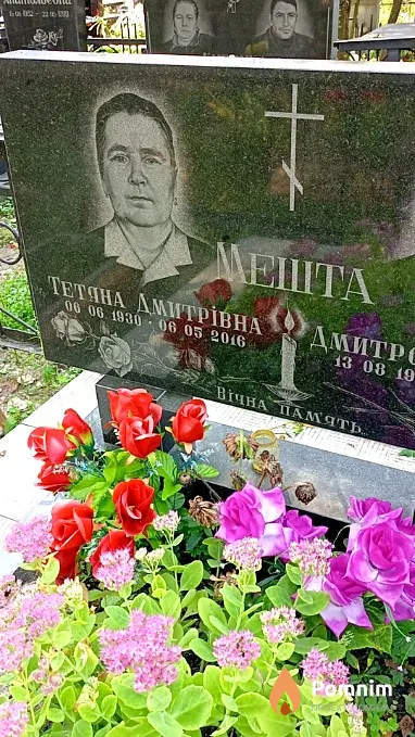 Мешта Татьяна Дмитриевна