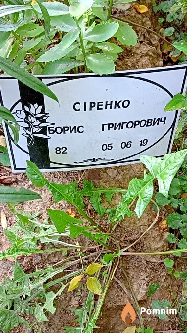 Сиренко Борис Григорьевич