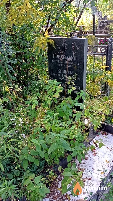 Невгодовский Сергей Михайлович