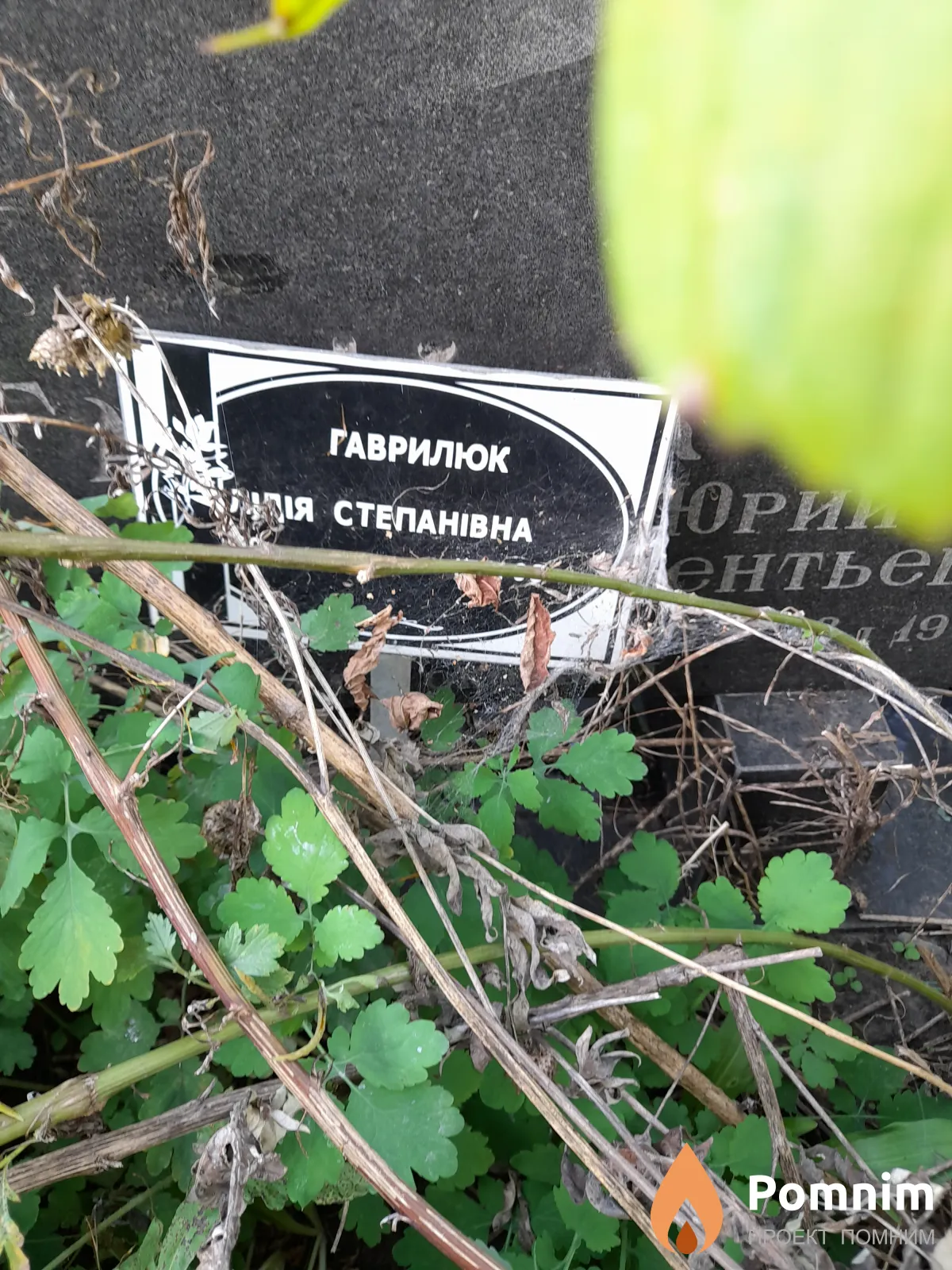 Гаврилюк Лидия Степанівна