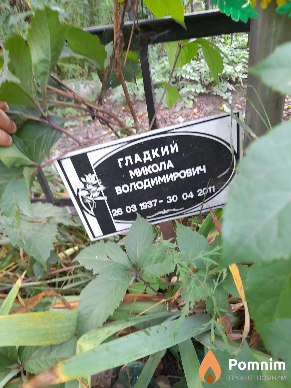 Гладкий Микола Володимирович