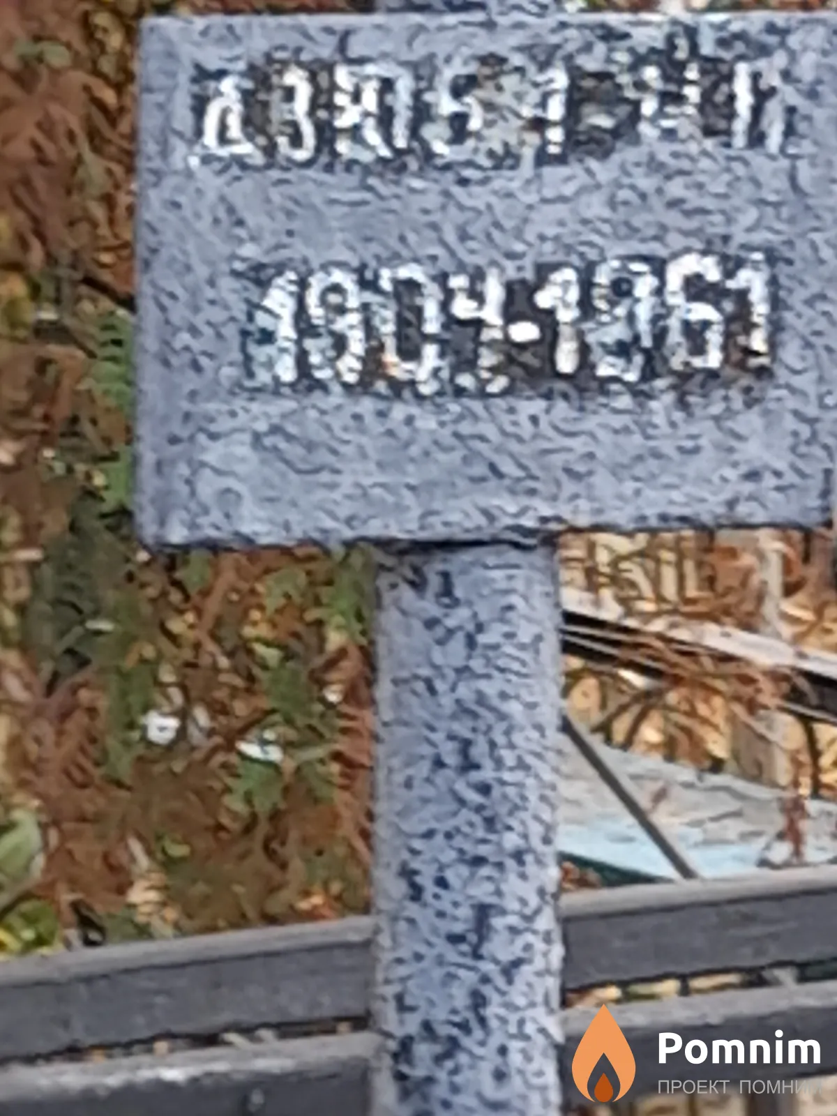 Дзюба Н П