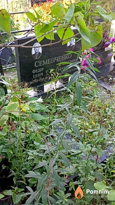Семенченко Ефросиния Максимовна
