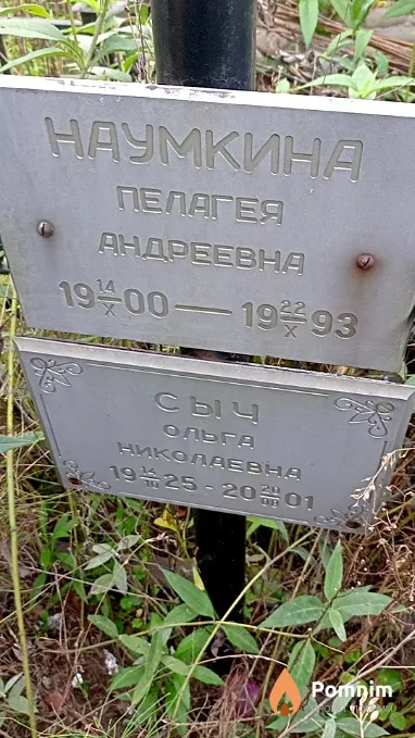 Сыч Ольга Николаевна