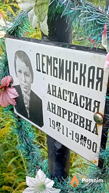 Дембинская Анастасия Андреевна