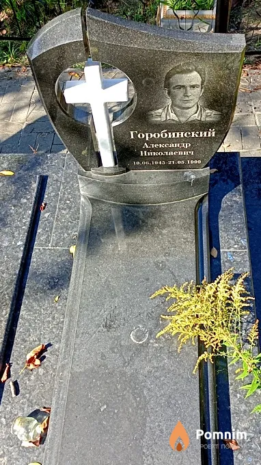 Горобинский Александр Николаевич