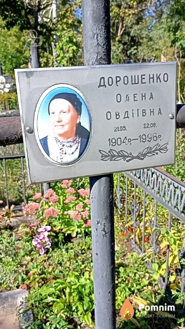 Дорошенко Олена Овдіївна