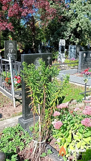 Мелехова Мария Степановна