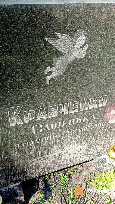 Кравченко Александр