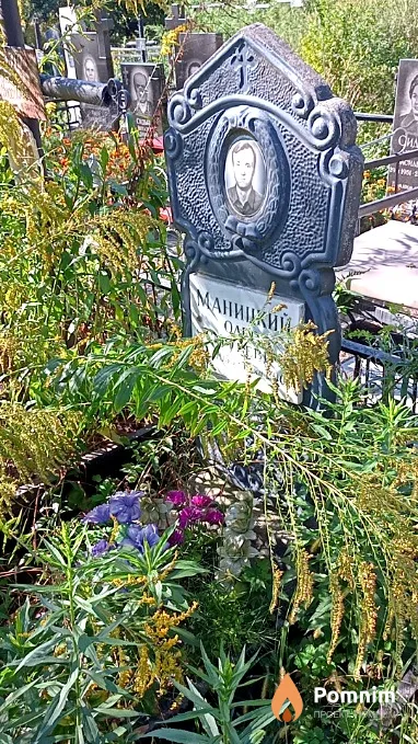 Маницкий Олег Сергеевич
