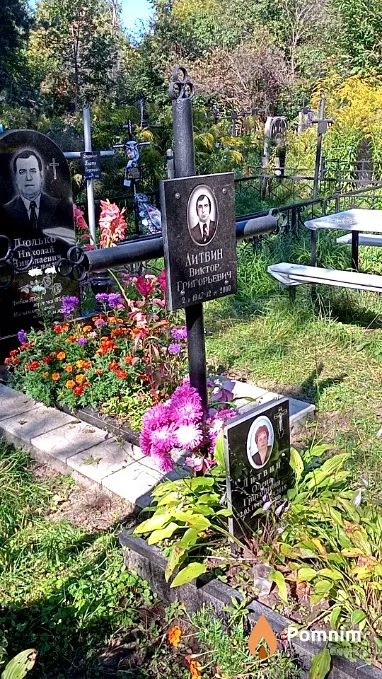 Литвин Виктор Григорьевич