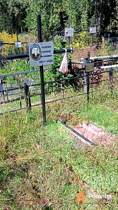 Радкевич Анатолій Михайлович
