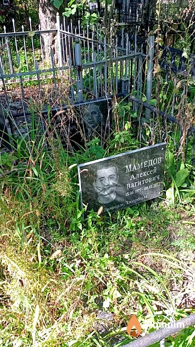Мамедов Алексей Вагитович
