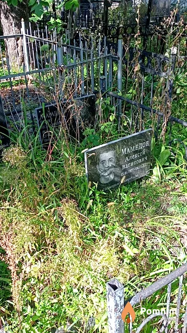 Мамедов Вагит Исмаилович
