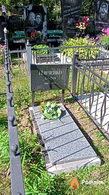 Німченко Софія