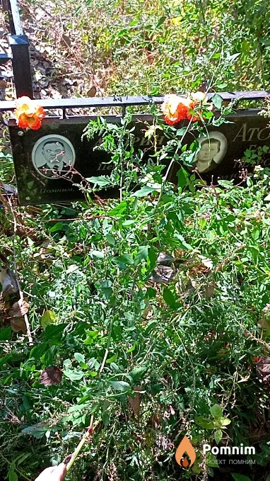 Аторина Галина Петровна