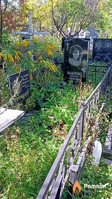 Василенко Светлана Николаевна