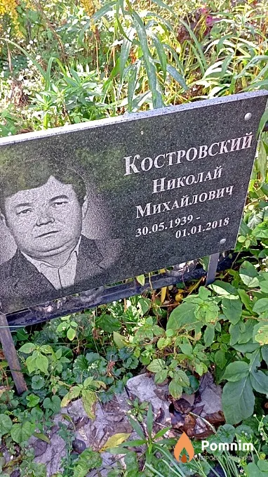 Костровский Николай Михайлович