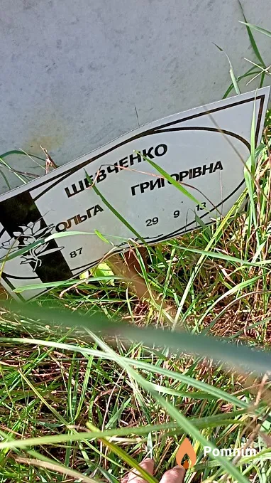 Шевченко Ольга Григорівна