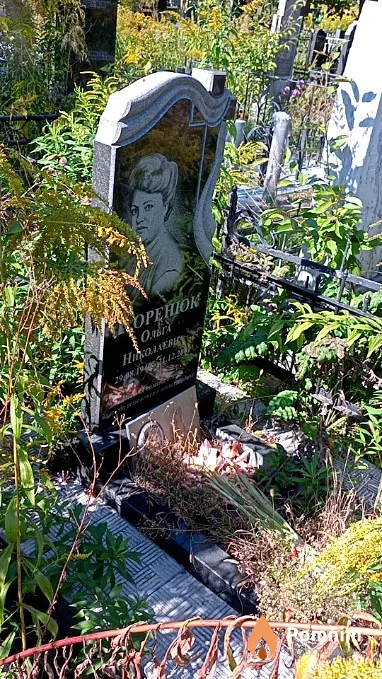Коренюк Ольга Николаевна