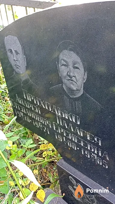 Приходько Андрей Степанович