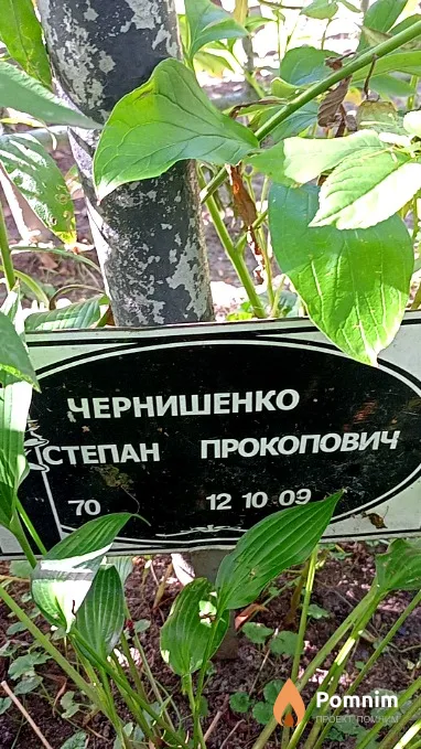 Чернишенко Степан Прокопович