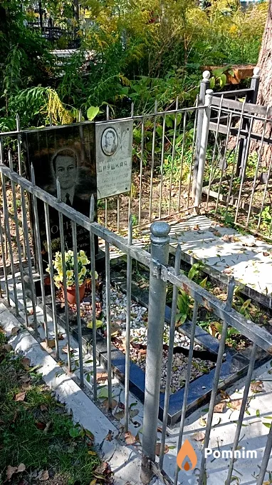 Оснач Олександр Михайлович