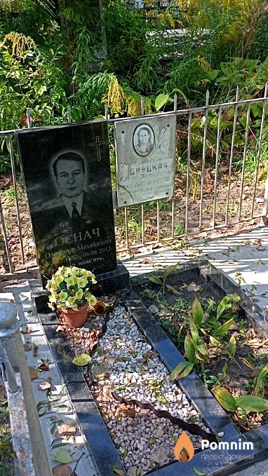 Друцкая Елена Никитична