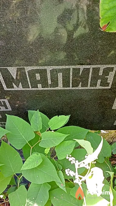 Малик Афанасий Иванович