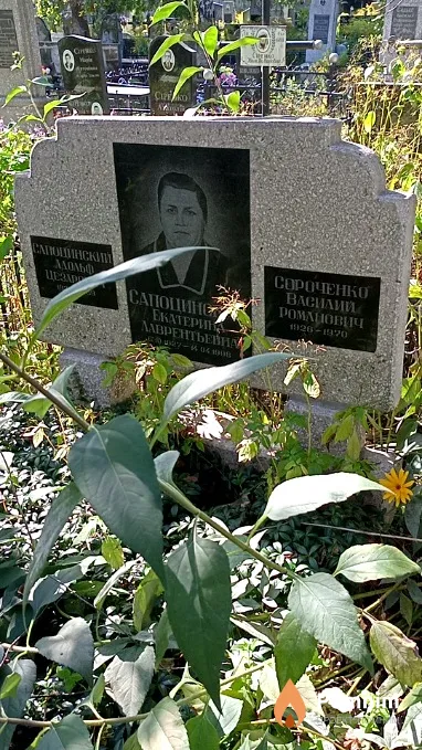 Сапоцинский Адольф Цезарович