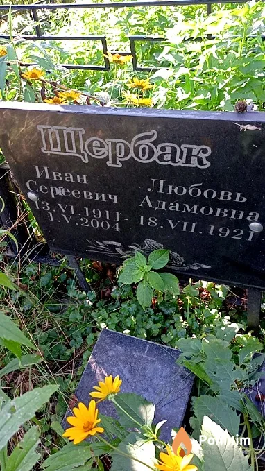 Щербак Любовь Адамовна