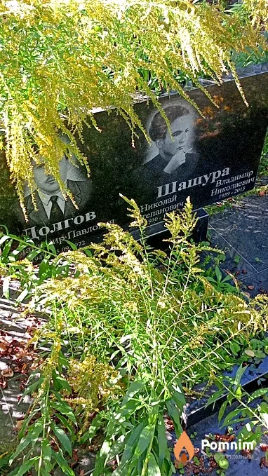 Долгов Владимир Павлович