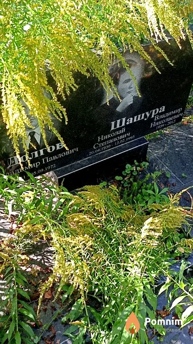 Шашура Владимир Николаевич