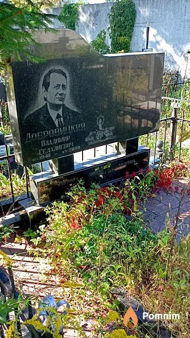 Добровицкий Владимир Гедалиевич