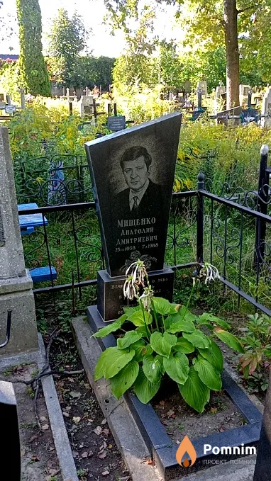 Мищенко Анатолий Дмитриевич