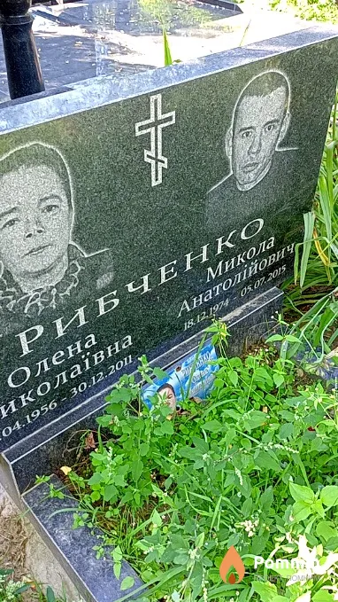 Рибченко Микола Анатолійович