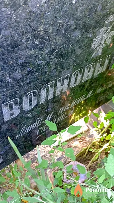 Волкова Ольга Федоровна