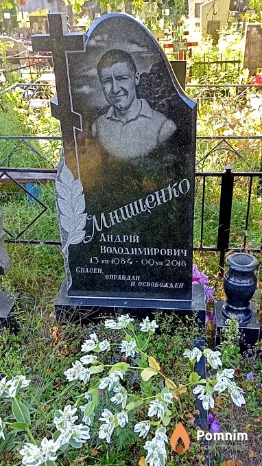Мнищенко Андрій Володимирович