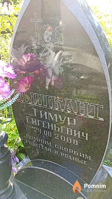 Дышкант Тимур Евгеньевич