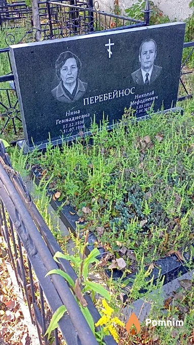 Перебейнос Нина Геннадиевна