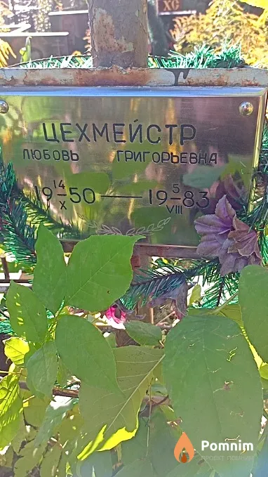 Цехмейстр Любовь Григорьевна