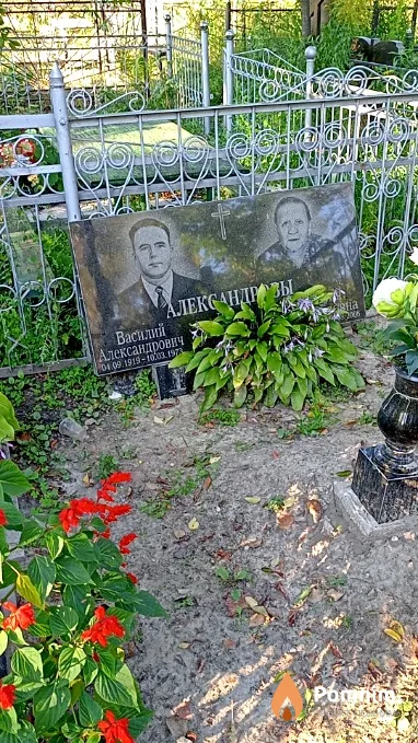 Александров Дмитрий