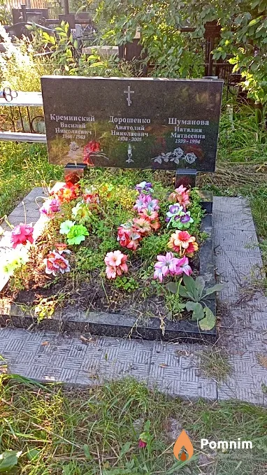 Креминский Василий Николаевич