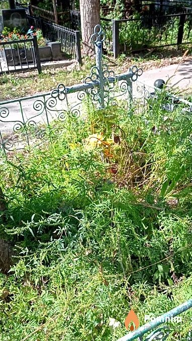 Славинский Павел