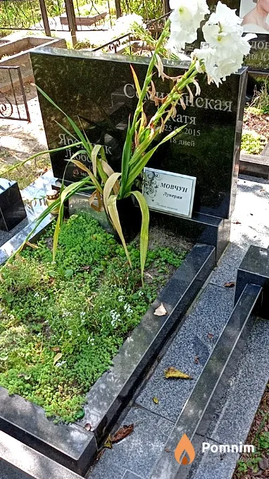 Семидонская Екатерина