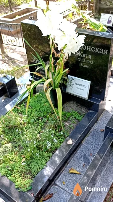 Яремчук Любовь